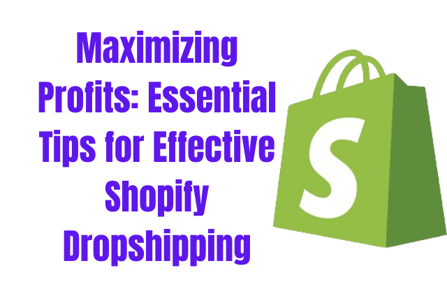 SHOPIFY DROPSHIPPING GUIDE